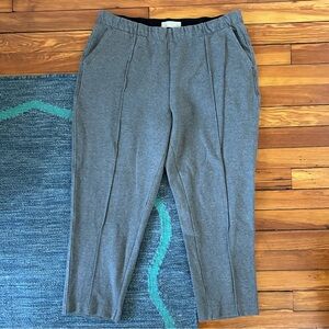 Everlane the dream pant in heather gray